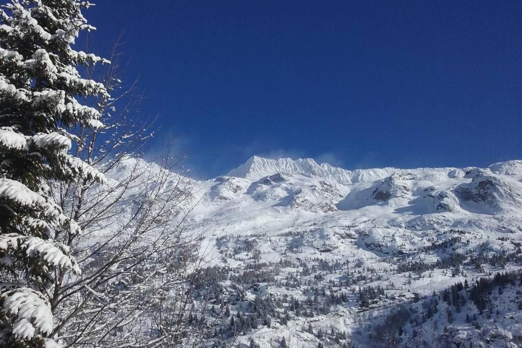 Rustic & A Chalet 'Le Sert Du Grey - Vaujany Villa Exterior foto